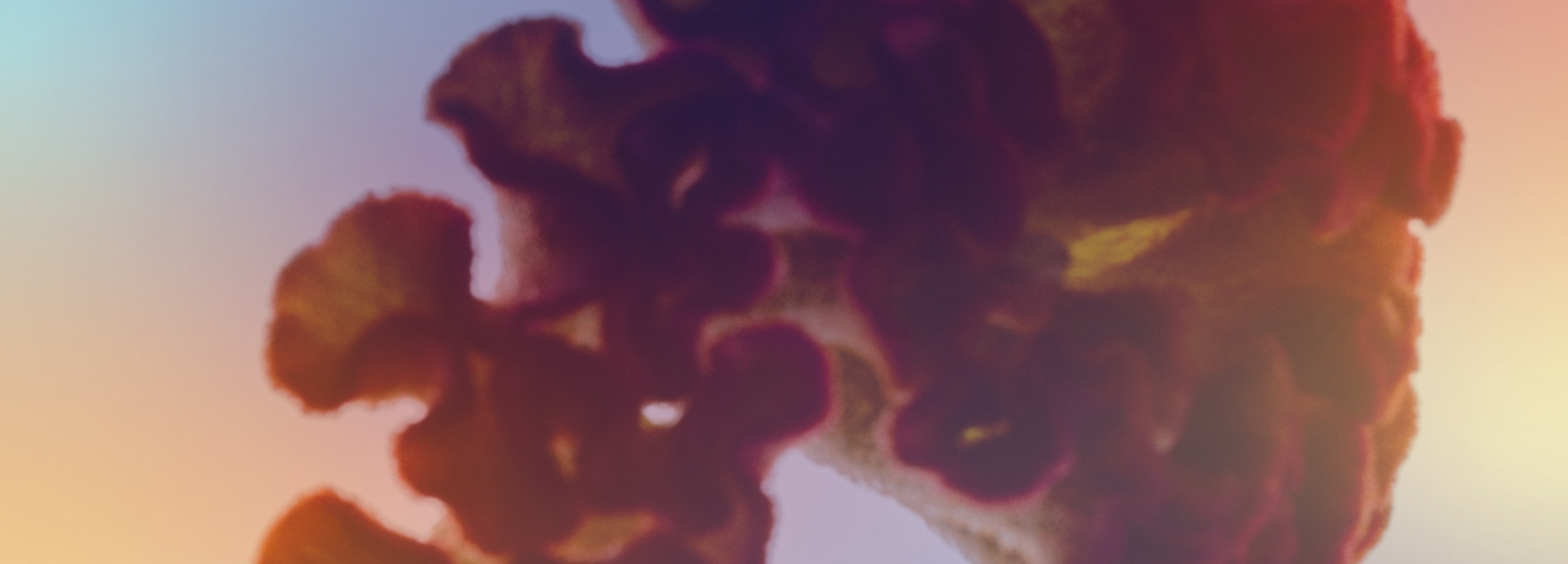 The Mind-Body-Gut Connection: Why Mental Health and Metabolic Wellness Are Inseparable