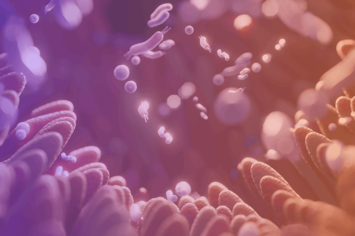 How Fibriss® Supports Digestive Balance
