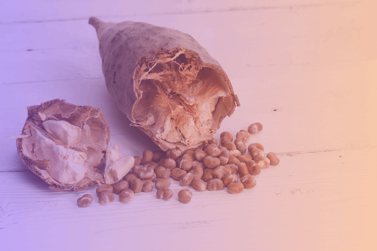 Baobab Fiber Benefits for Satiety and Metabolism