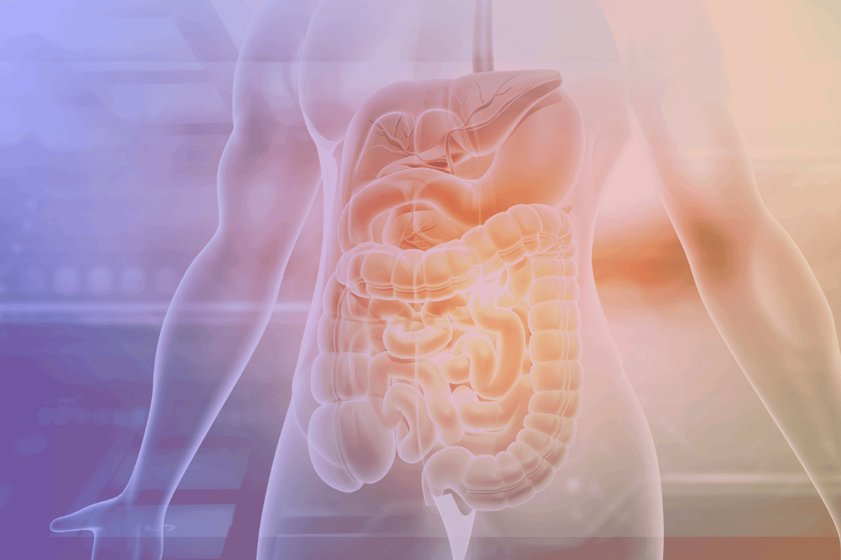 Both Metabolism & Gut Health Are Non-Negotiable