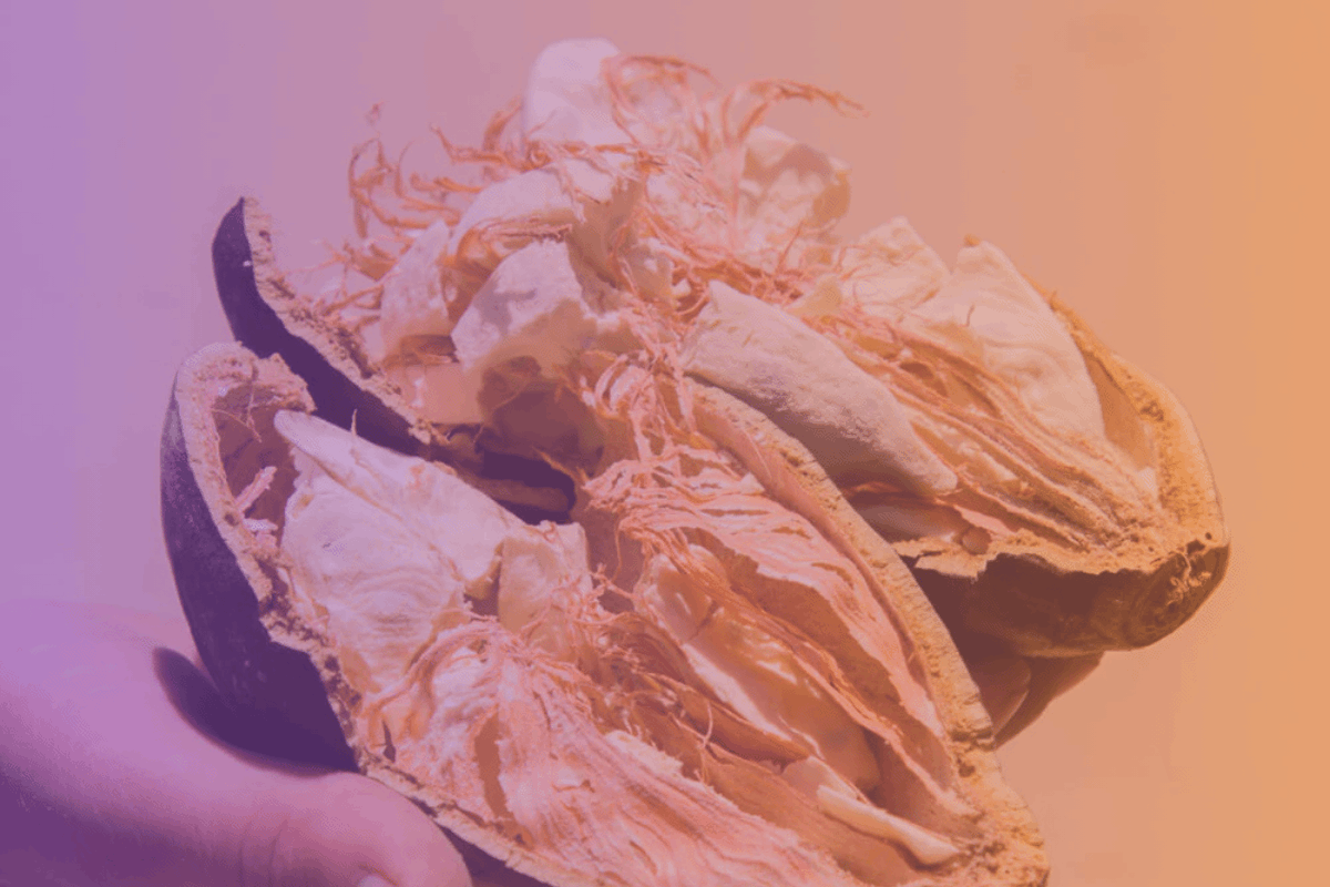 Exploring Science-Backed Fibriss® Prebiotic Fiber Benefits